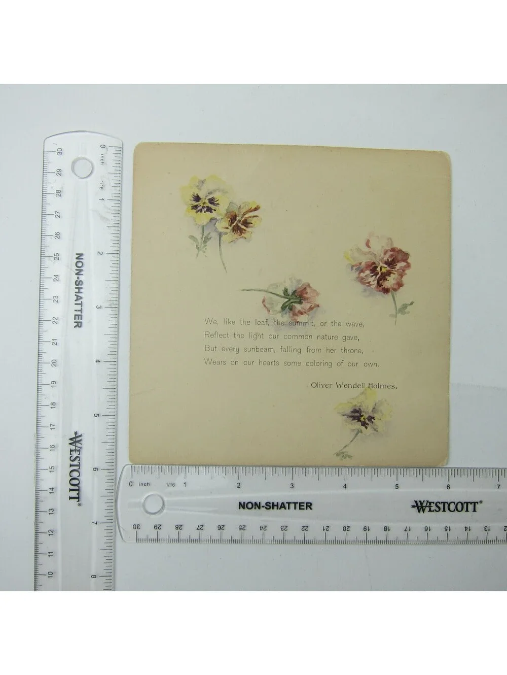 Antique Card Pansies Yellow Purple Pink Pansy Flowers Poem Oliver Wendell Holmes
